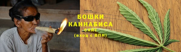 крисы Слюдянка