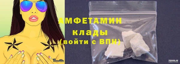 молекула духа Снежногорск