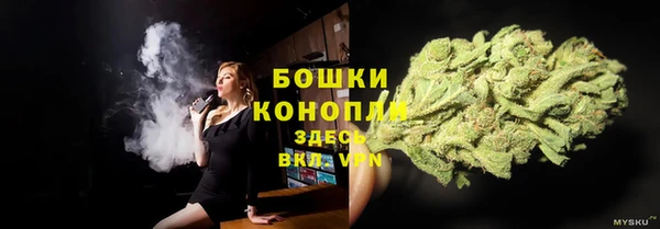 стаф Семикаракорск