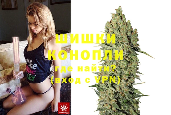 гашик Беломорск