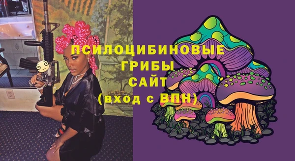 молекула духа Снежногорск