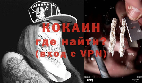молекула духа Снежногорск