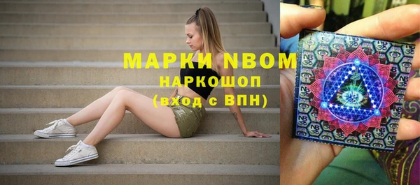 стаф Семикаракорск