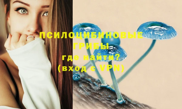 MDMA Белокуриха