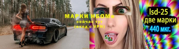 гашик Беломорск